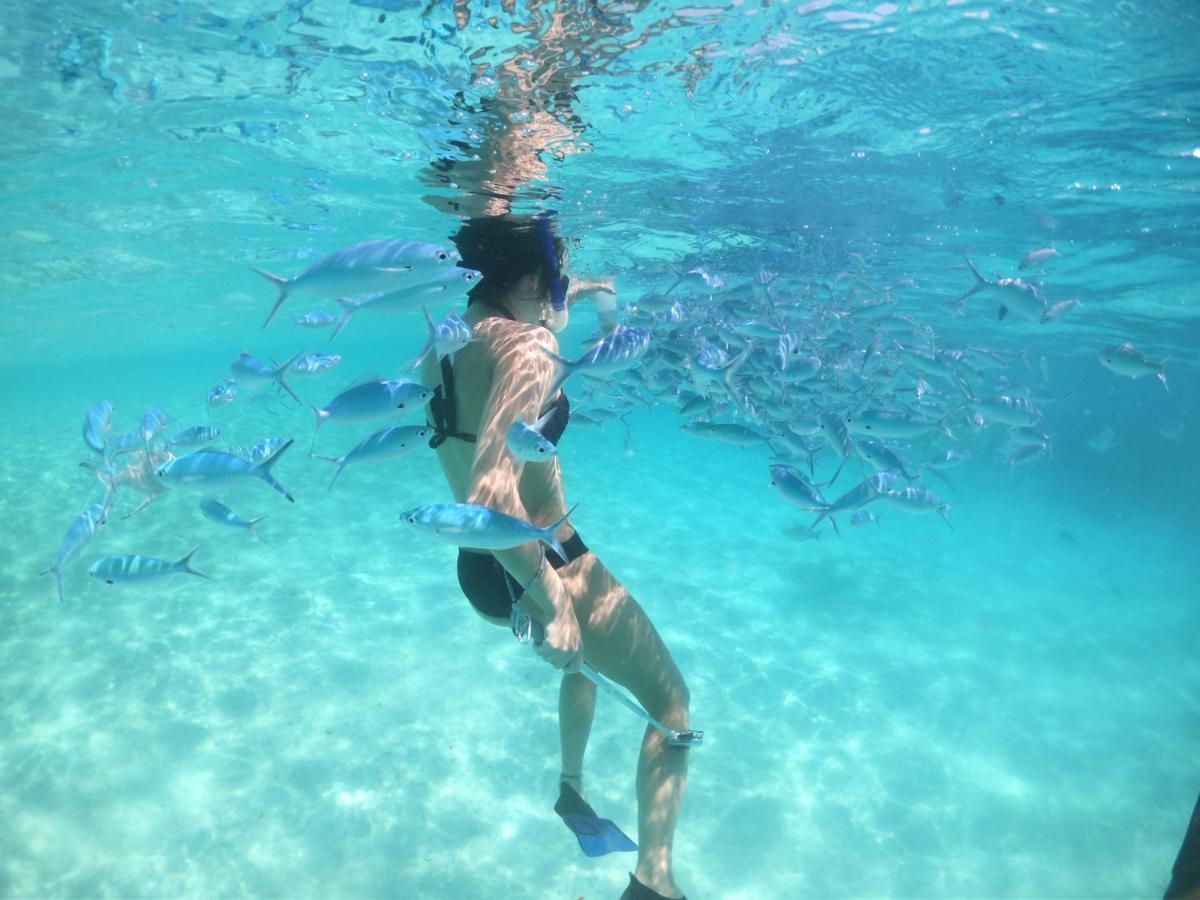 Отель White Coral Rasdhoo Экстерьер фото
