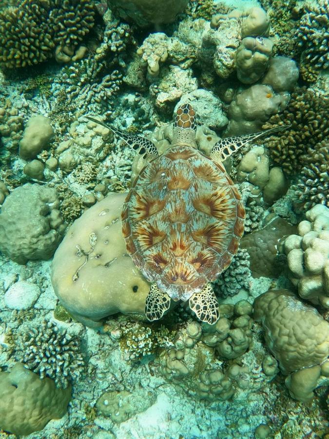 Отель White Coral Rasdhoo Экстерьер фото